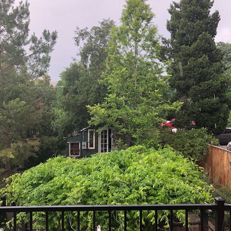 View from the deck