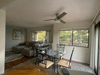 dining room / living room