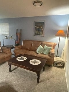 Down stairs living room