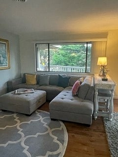 Living room upstairs / TV