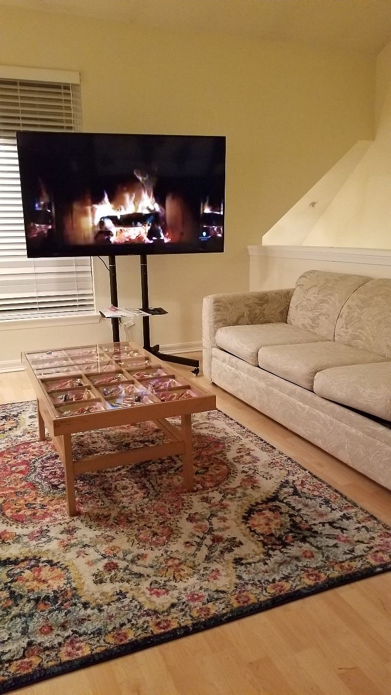 Furnished Finder property 517025_1 photo 19