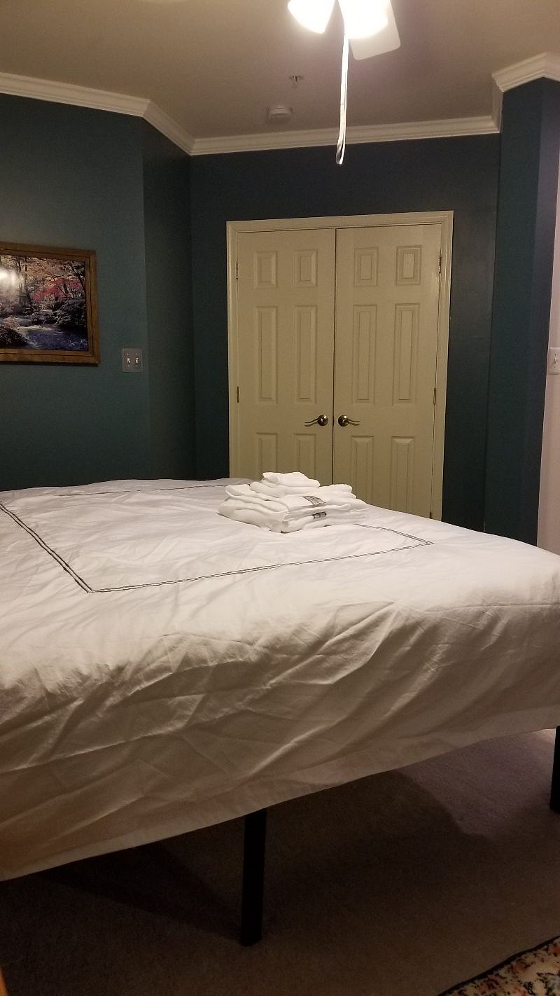 Furnished Finder property 517025_1 photo 9