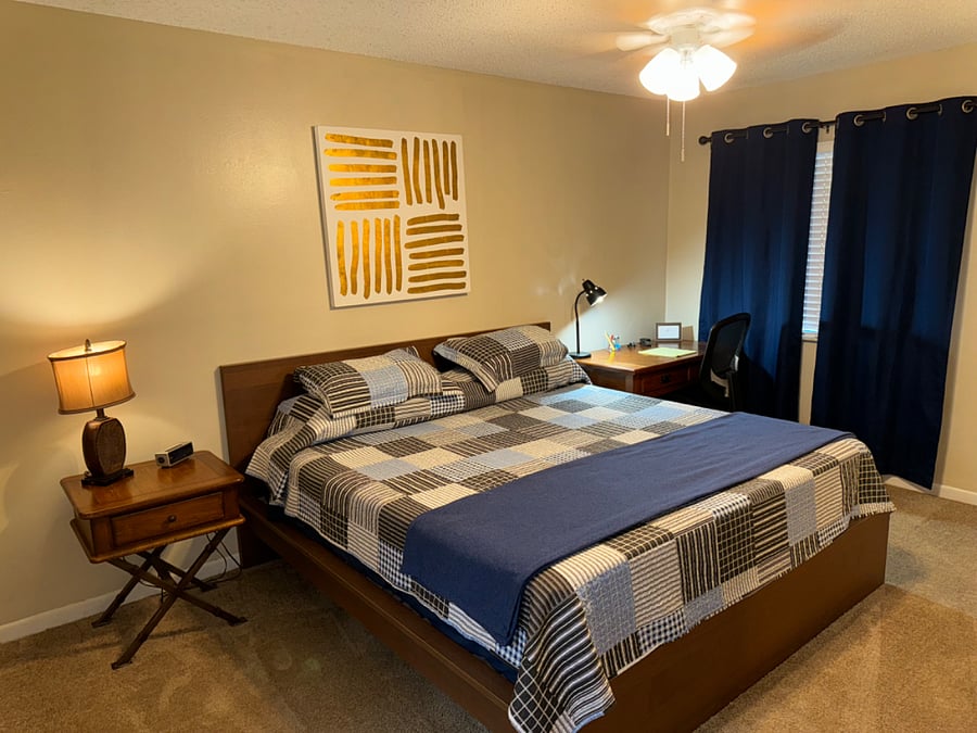 MASTER BEDROOM - KING SIZED BED, walk-in closet, in-suite bathroom (tub/shower)