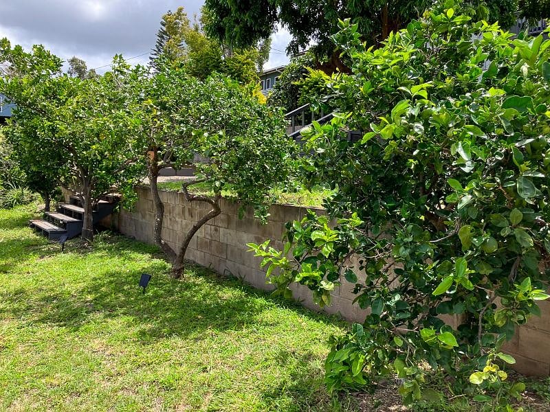 Furnished Finder property 517127_1 photo 15