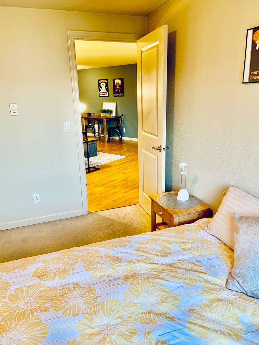 Furnished Finder property 517153_1 photo 20