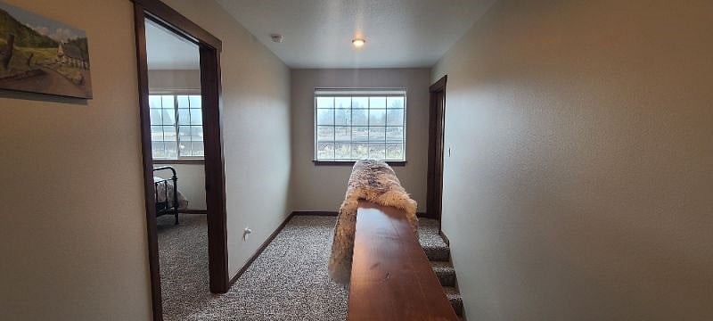 Furnished Finder property 517155_1 photo 18