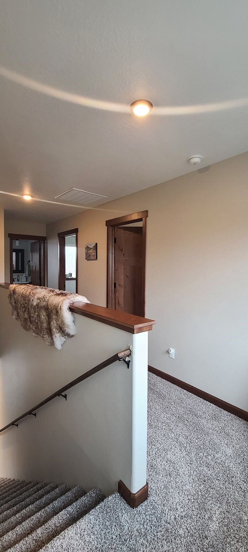 Furnished Finder property 517155_1 photo 22