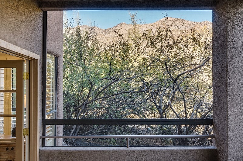 View from screened-in patio