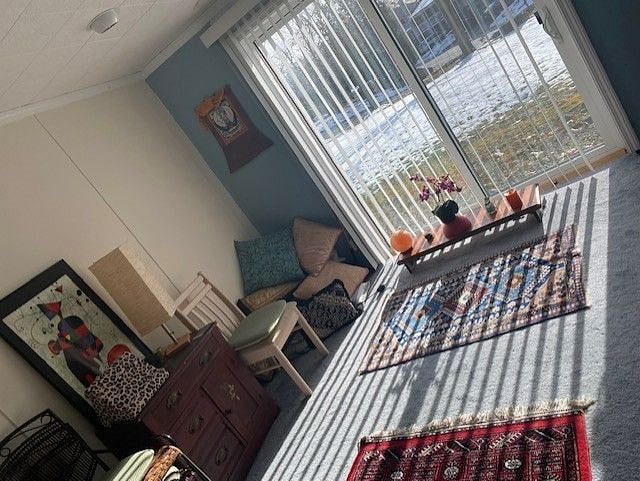 Furnished Finder property 517298_1 photo 6