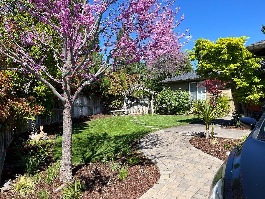 Furnished Finder property 517431_2 photo 1