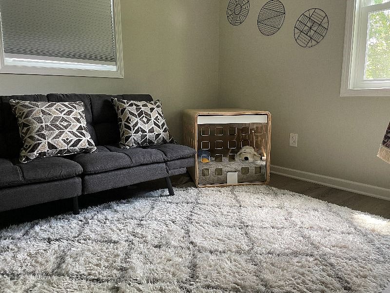 Furnished Finder property 517682_1 photo 21