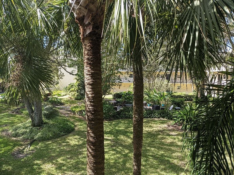 Furnished Finder property 517750_1 photo 15