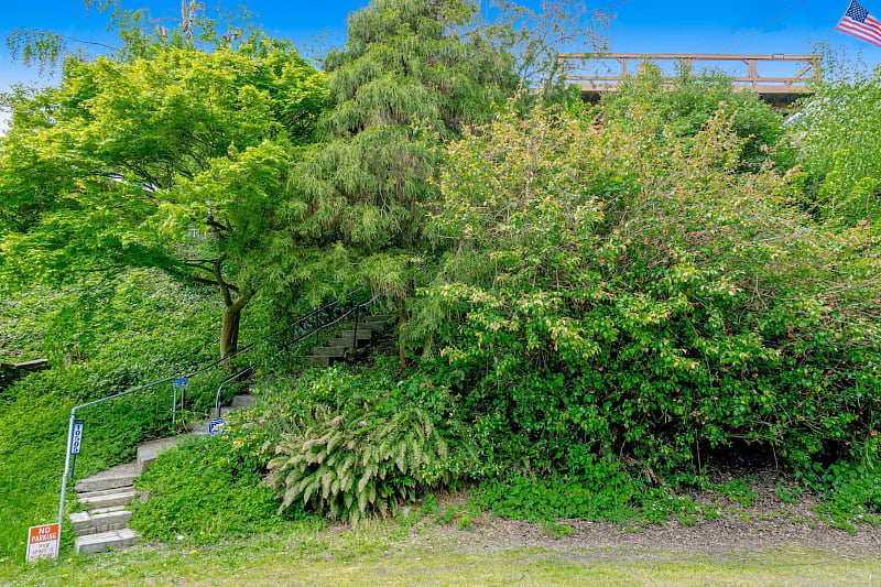 Steps and Greenbelt