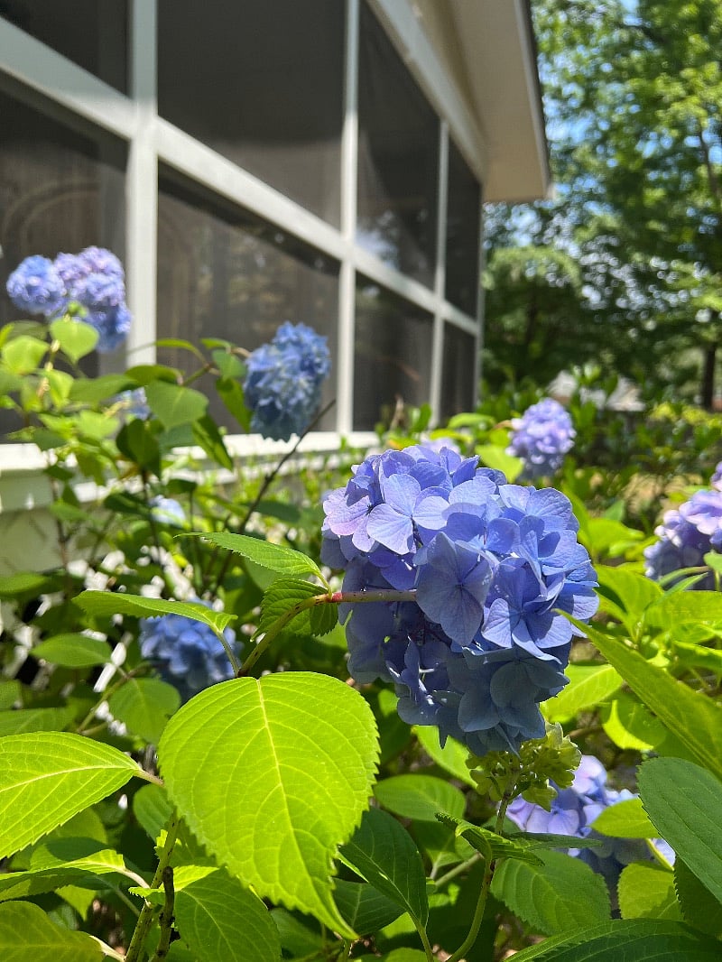 Listen to the songbirds from your private porch