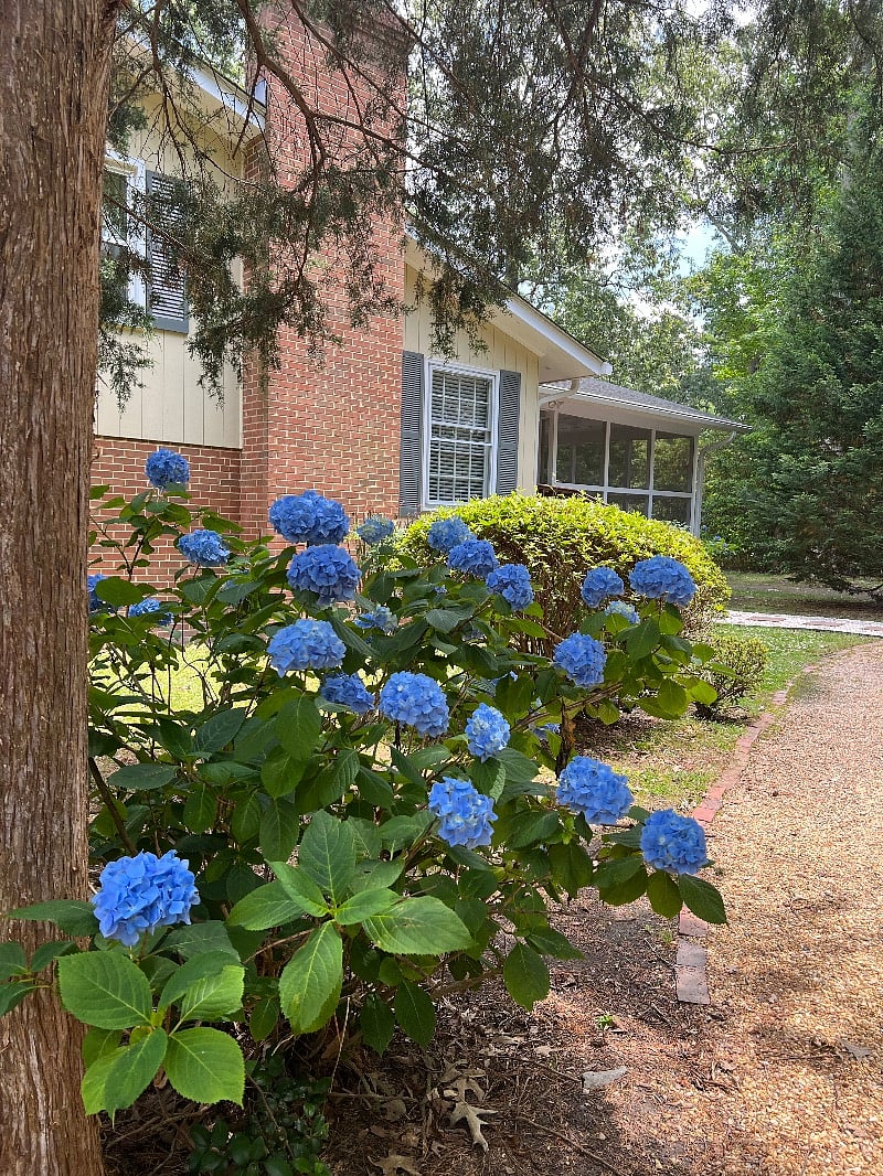 Furnished Finder property 518011_1 photo 31
