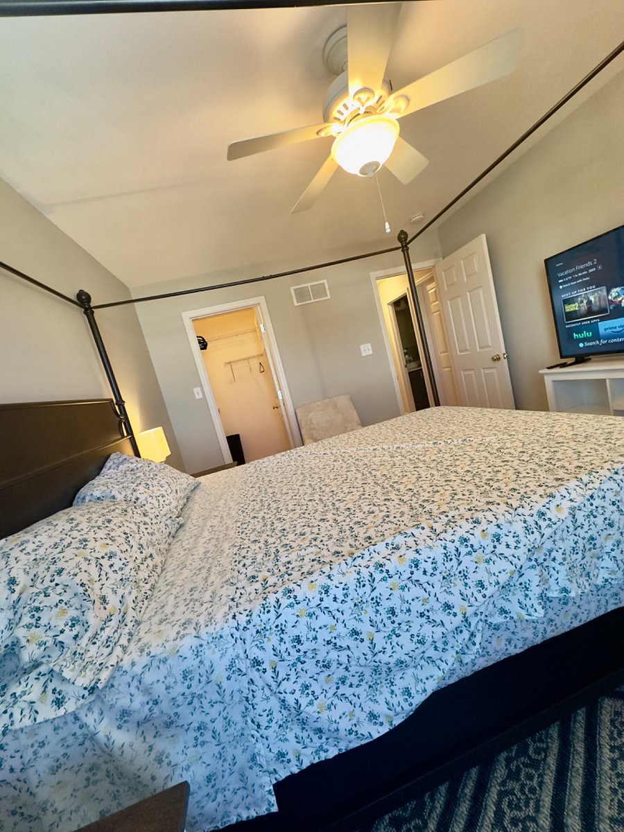 Furnished Finder property 518066_2 photo 9