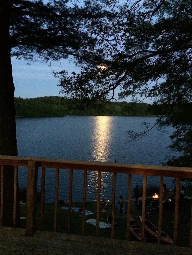 Furnished Finder property 518352_1 photo 16