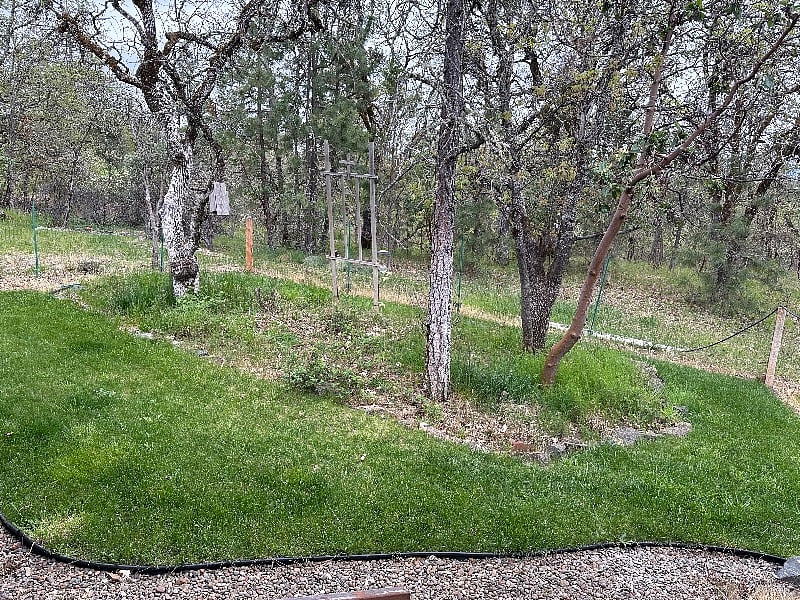 Private backyard