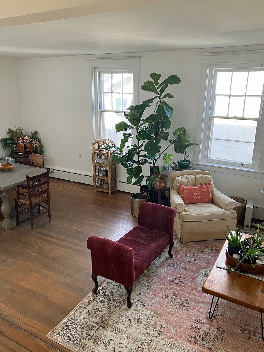 Furnished Finder property 518422_1 photo 7