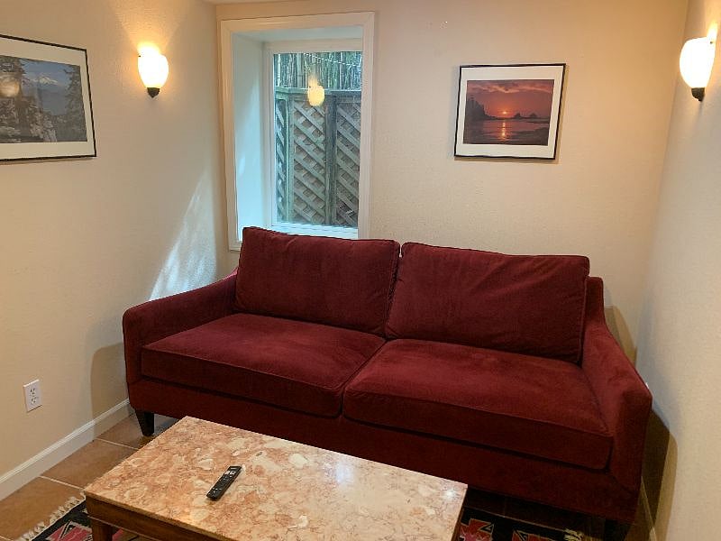 Couch in basement tv room