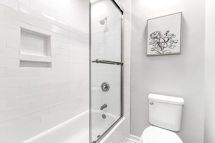 Shower/ Tub combo