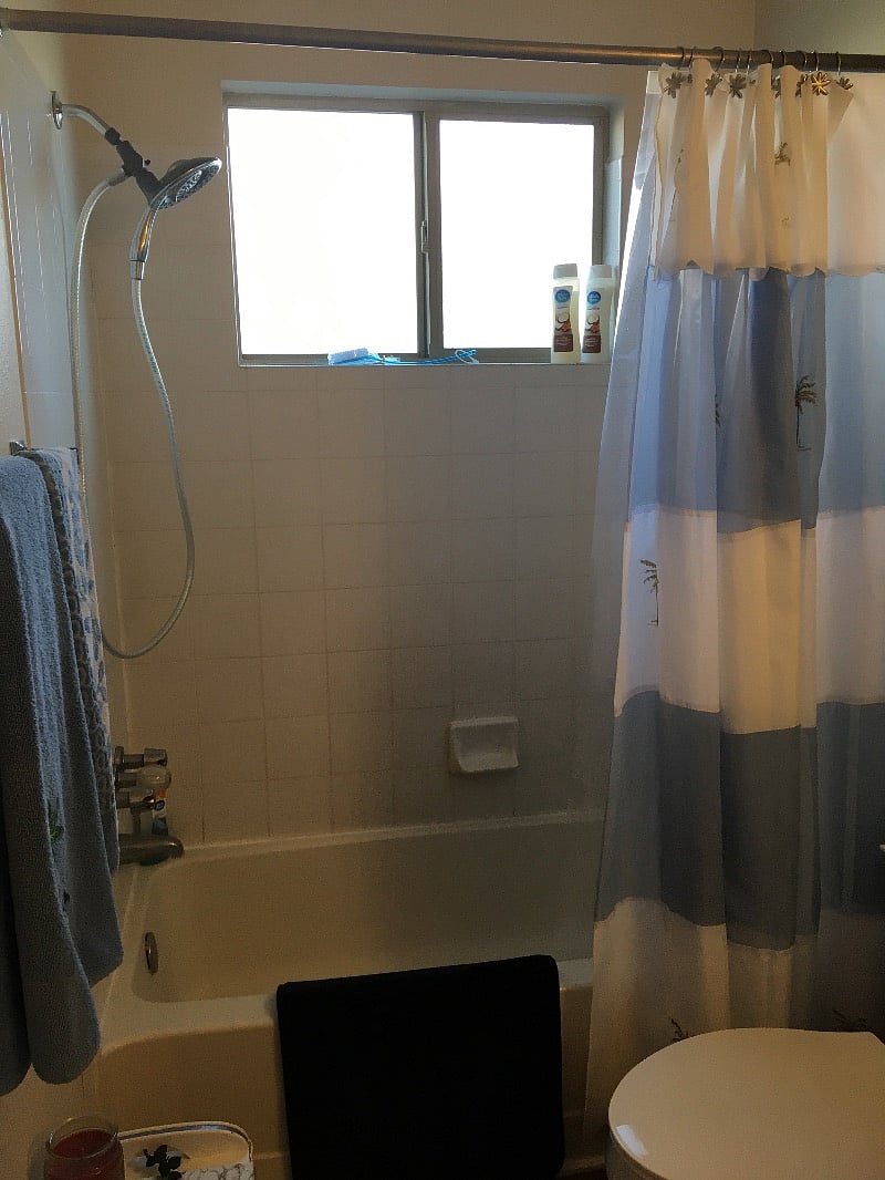 Bath tub with shower in 2nd bathroom.