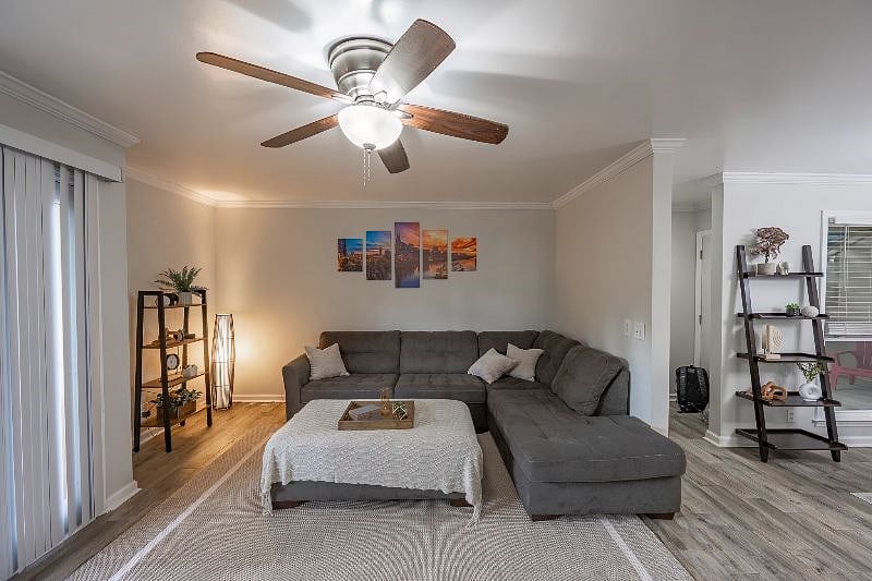 Furnished Finder property 518778_1 photo 5