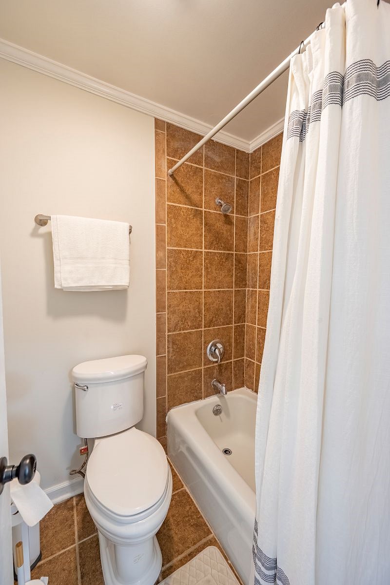 Furnished Finder property 518778_1 photo 20