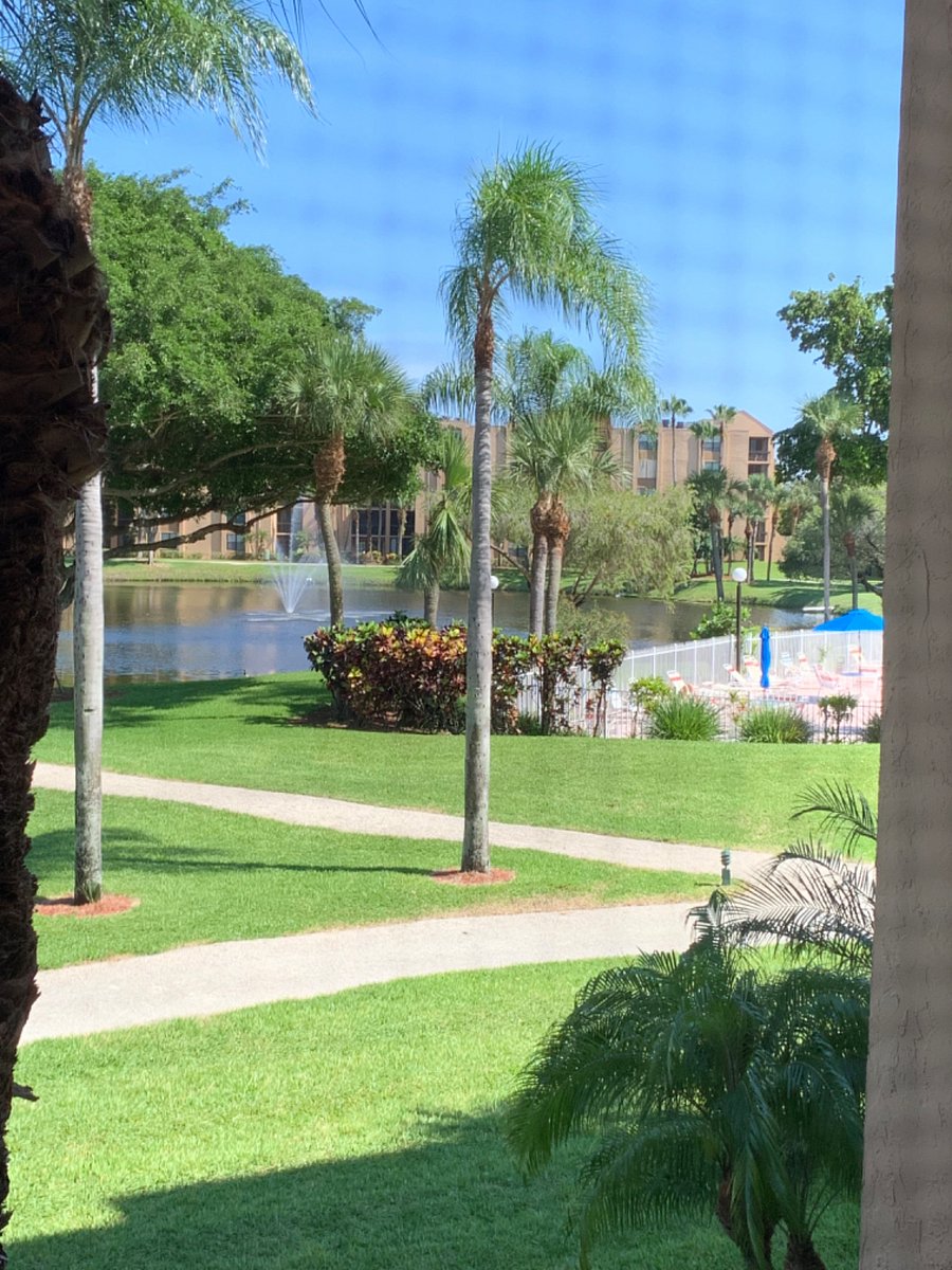 Furnished Finder property 518791_1 photo 16