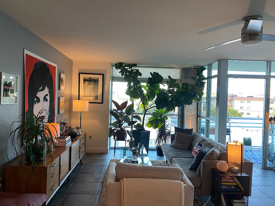 Furnished Finder property 518826_1 photo 3