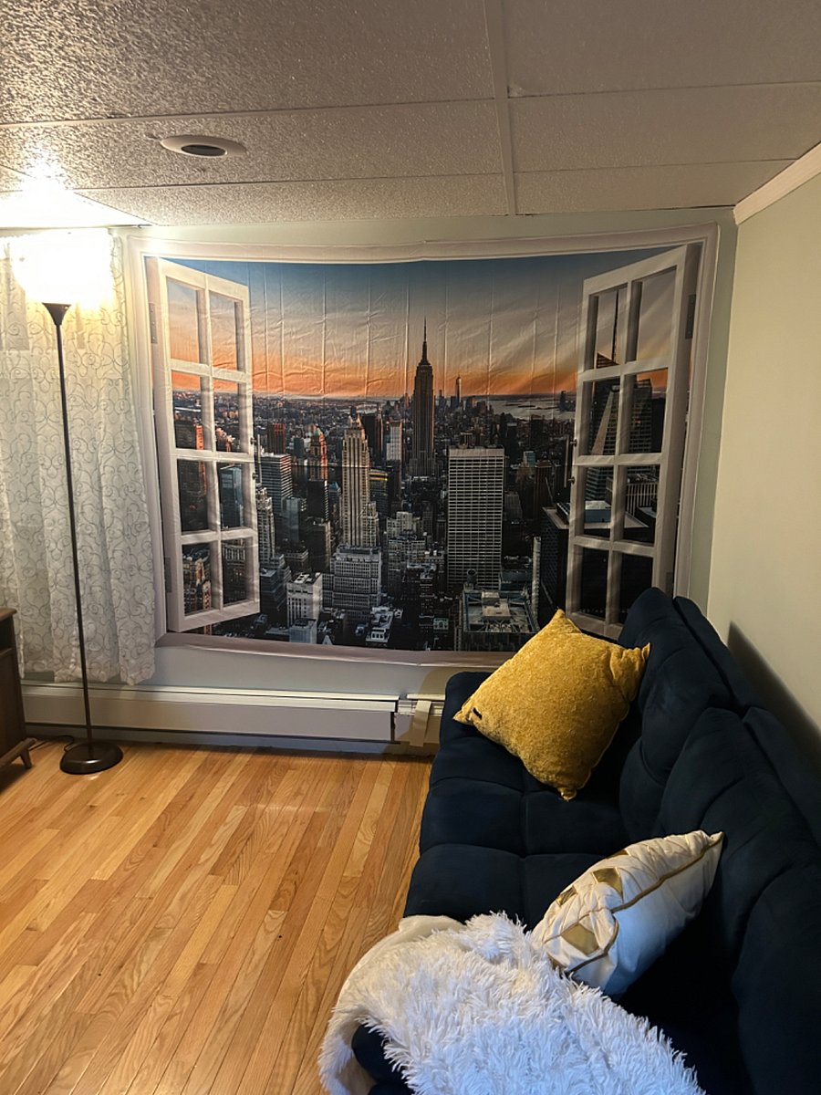Furnished Finder property 518828_1 photo 15