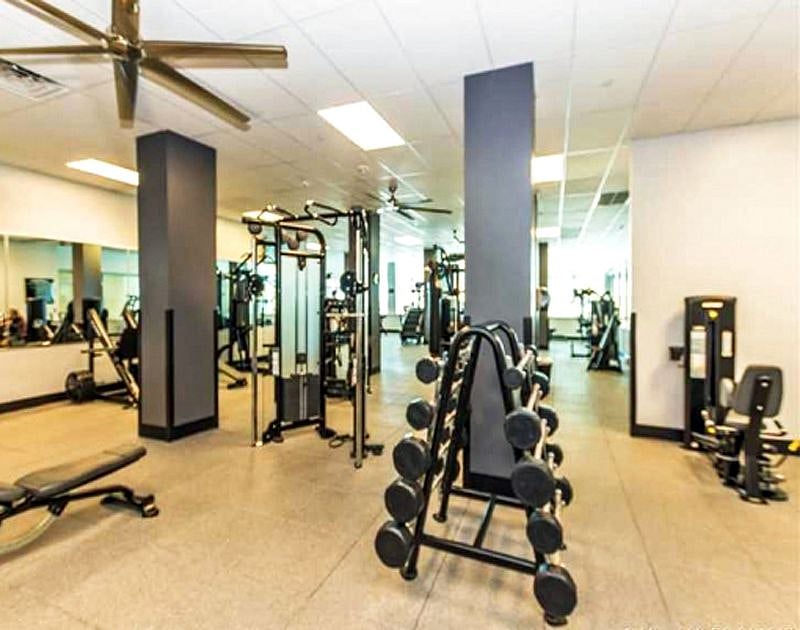 5 Stars Spacious Gym. With view of Pool and Garden