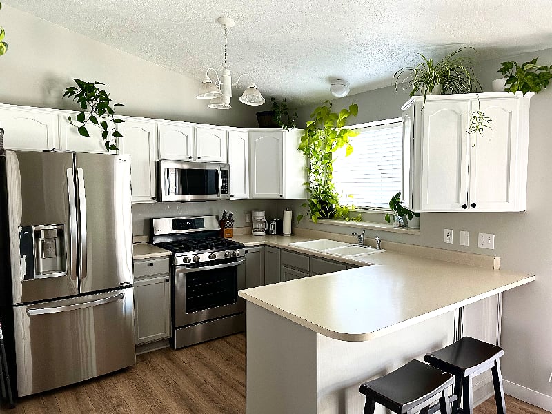 Full kitchen with fridge, gas burner stove, microwave, dishwasher, and pantry. Basic kitchen equipment supplied.