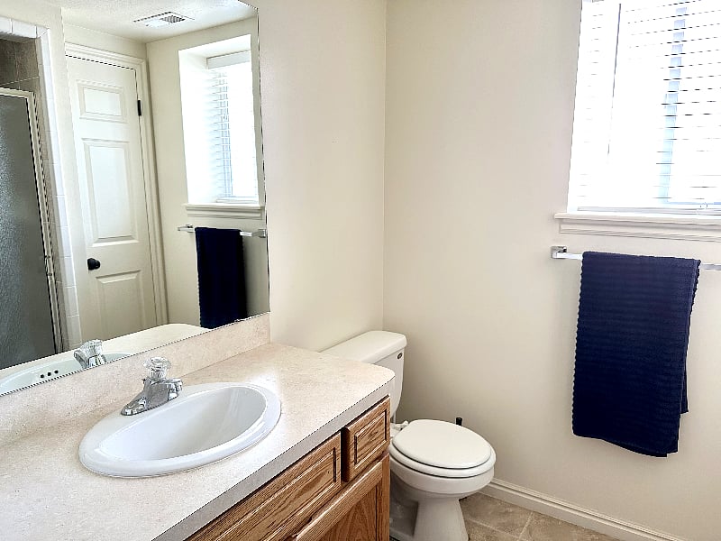 downstairs bathroom - walk in shower