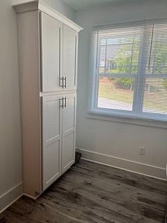 Kitchen Pantry