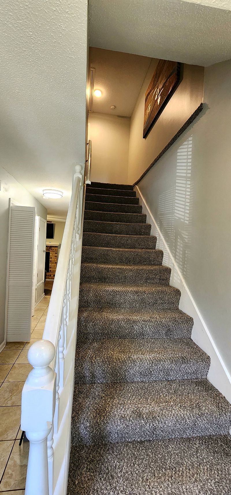 Furnished Finder property 519237_1 photo 13