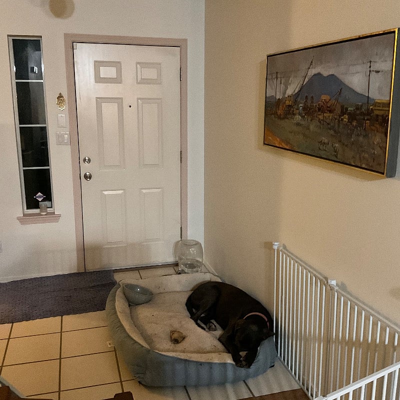 Furnished Finder property 519238_1 photo 25