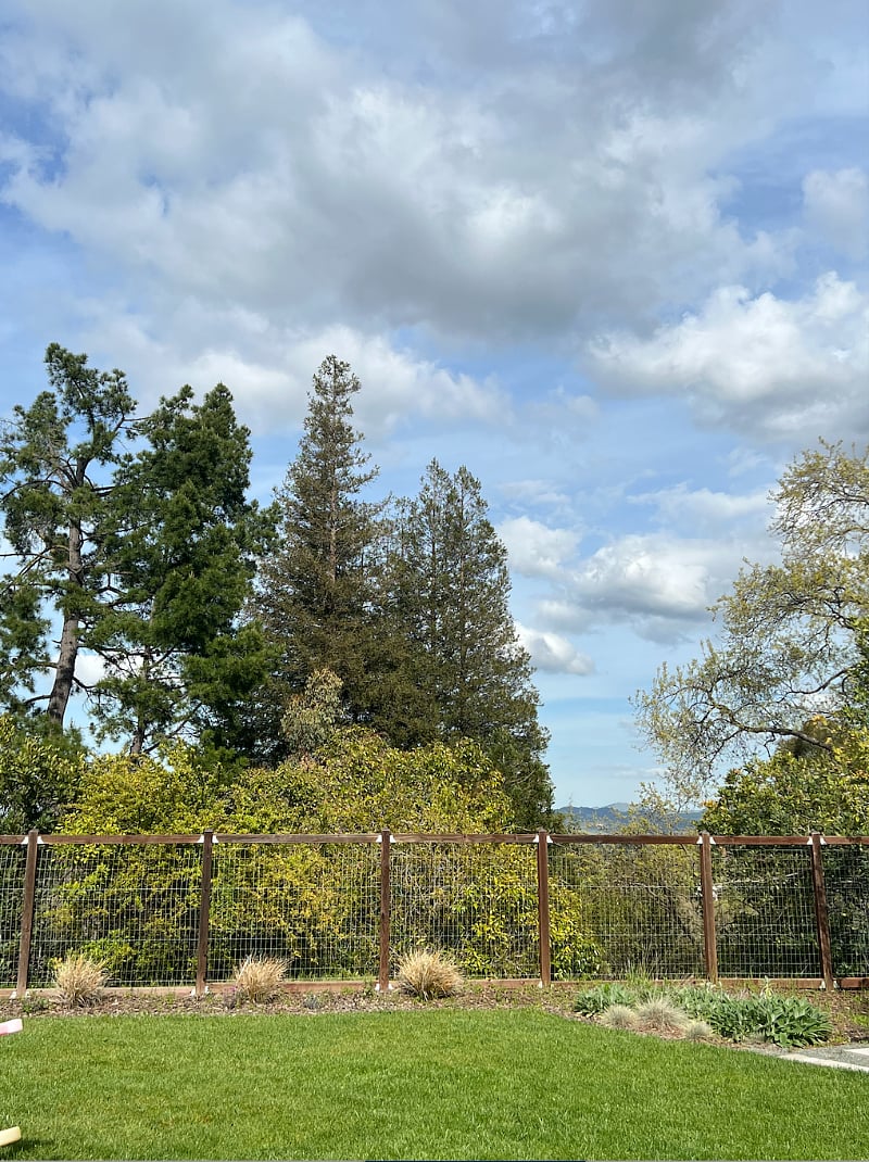 View from the backyard up on a hill (no houses in sight!)