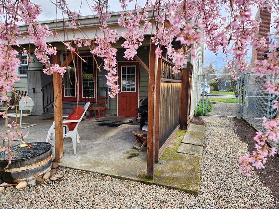 Back patio.