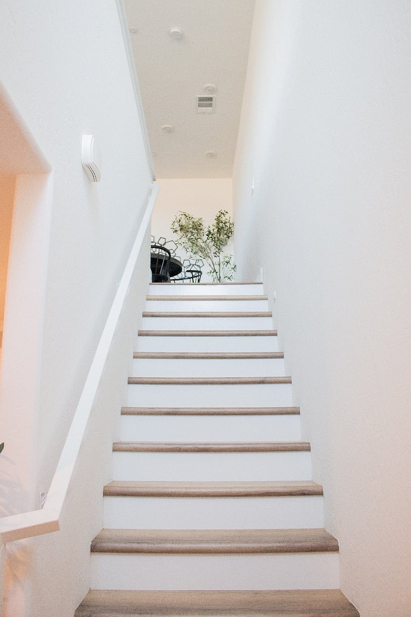 Furnished Finder property 519568_1 photo 23