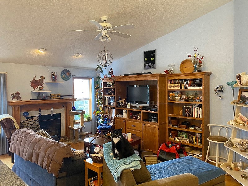 Furnished Finder property 519580_1 photo 19