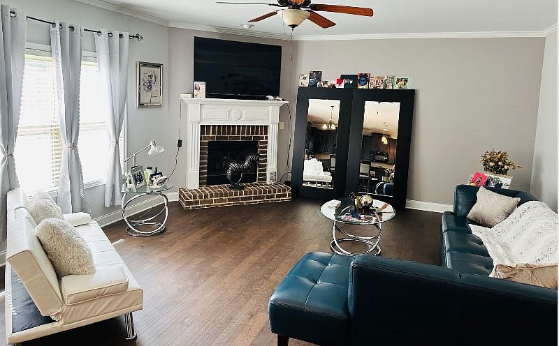 Furnished Finder property 519702_1 photo 16