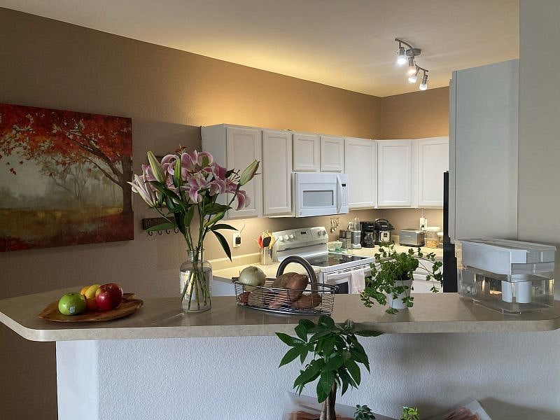 Furnished Finder property 519769_1 photo 9
