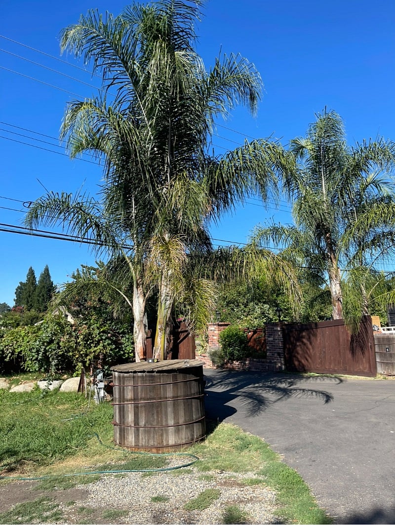 Furnished Finder property 519868_2 photo 12