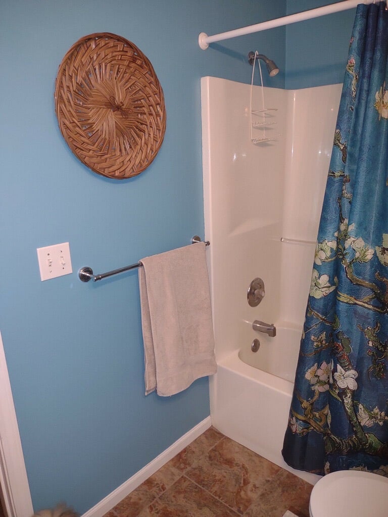 Semi private bathroom in lower level
