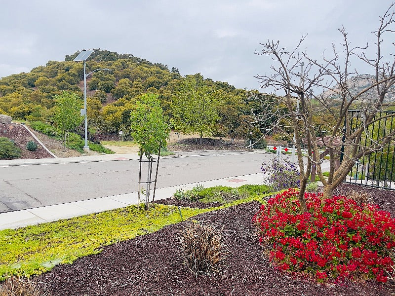 View from the front. The walking trail starts across the street.