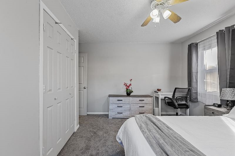 Furnished Finder property 520119_1 photo 9