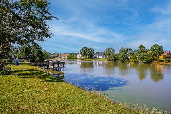 Furnished Finder property 520143_1 photo 46
