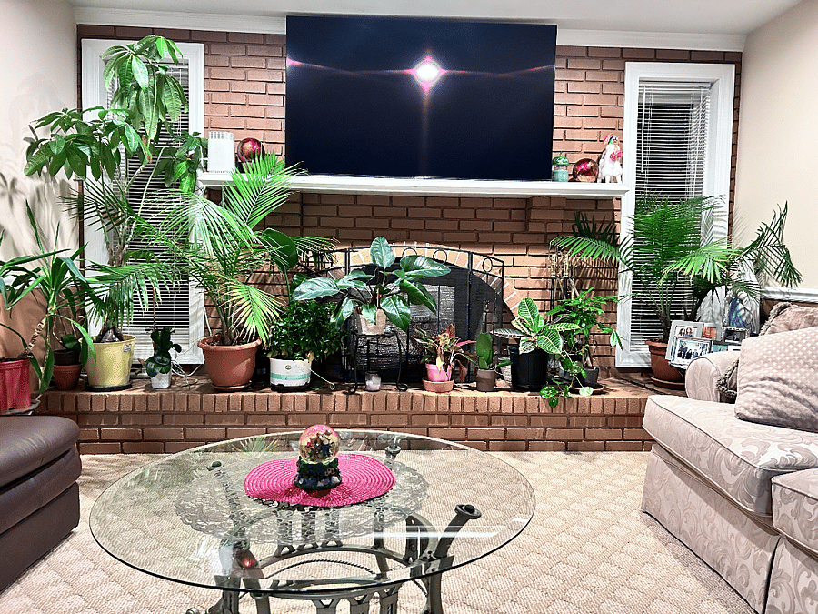 Furnished Finder property 520305_1 photo 22