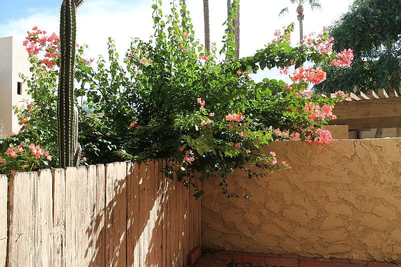 Furnished Finder property 520373_1 photo 7